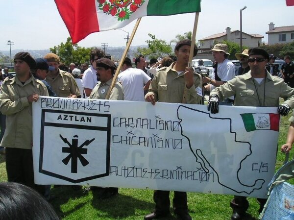 brown berets